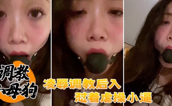调教母狗凌辱后入怼操小逼