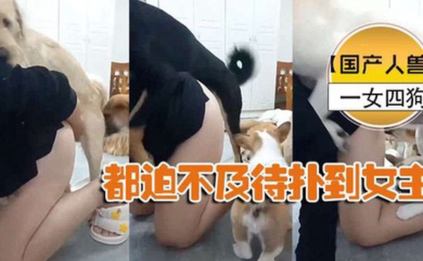 国产人兽一女四狗都迫不及待扑到女主