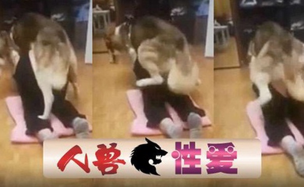 国产人兽狗狗后入抽插爽的有插了几次