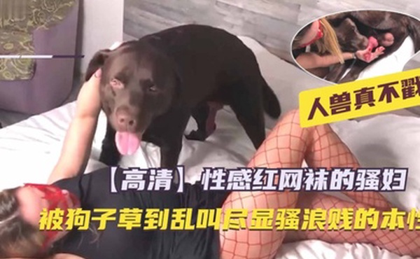 高清两个女人太饥渴抓住马吊一顿舔