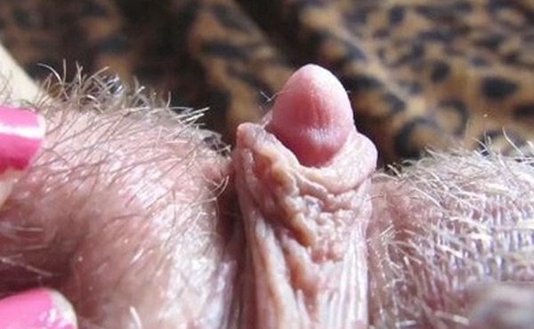 猎奇作品双性穴