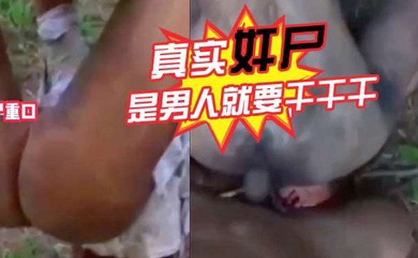 真实奸尸是男人就要干干干奥利给