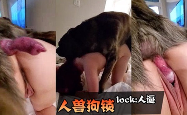 人兽狗锁lock人逼人妻