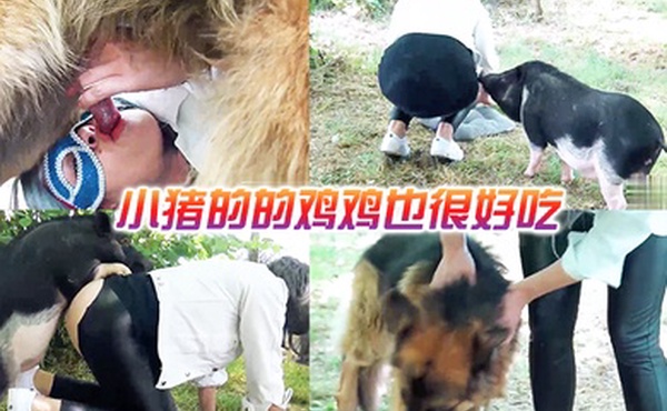 小猪的的鸡鸡也很好吃