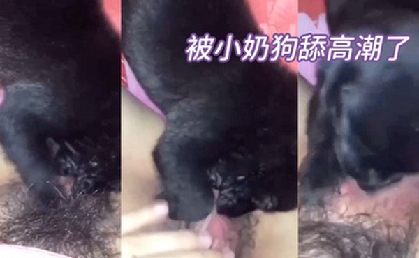 被.小.奶狗..舔高.潮了