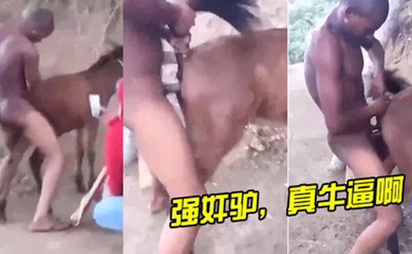 强奸驴真牛逼啊