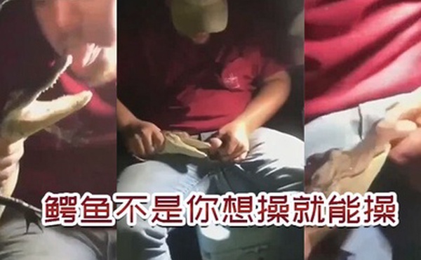 鳄.鱼不.是你想.操想.操就能.操