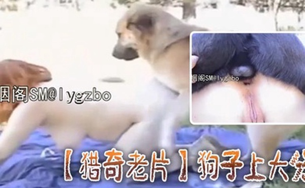 猎奇老片狗子上大分