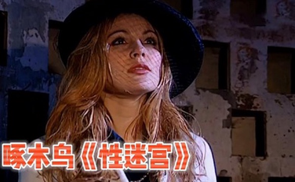 啄木鸟系列性迷宫