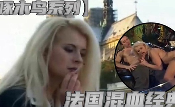 啄木鸟系列法国混血经典