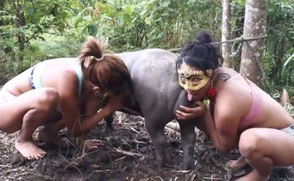 大洋马的人与动物