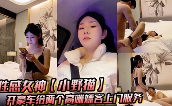 性感女神【小野猫】开豪车给两个高端嫖客上门服务猥琐大叔喜欢玩SM帅哥还算正常吹箫热身啪啪