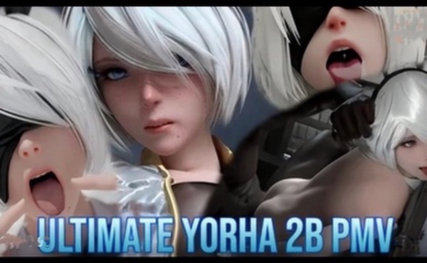 3D 同人御姐2B皮衣