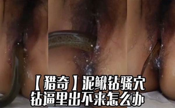 【猎奇】泥鳅钻骚穴，钻逼里出不来怎么办