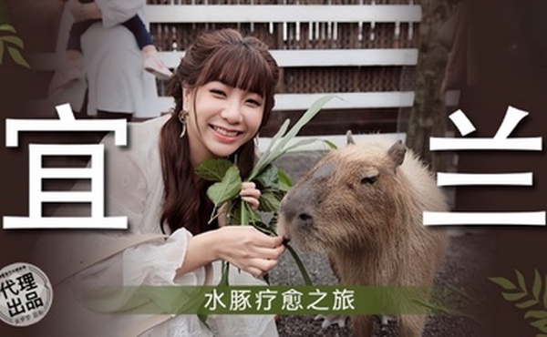 【吴梦梦】MM078 宜兰水豚疗愈之旅