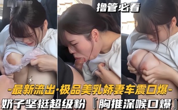 【最新流出】极品美乳娇妻车震口爆 奶子坚挺超级粉，胸推深喉