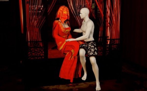 VAM ［完美世界］柳神配音 新婚之夜